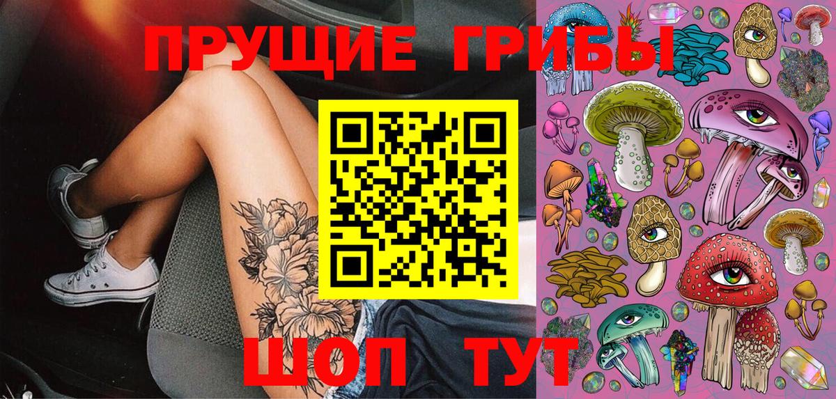 Псилоцибиновые грибы мицелий  Вход с VPN  купить наркоту  Псилоцибиновые грибы Cubensis  Белореченск 